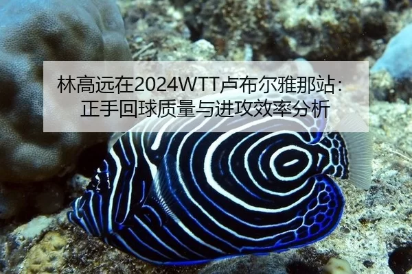 林高远在2024WTT卢布尔雅那站：正手回球质量与进攻效率分析